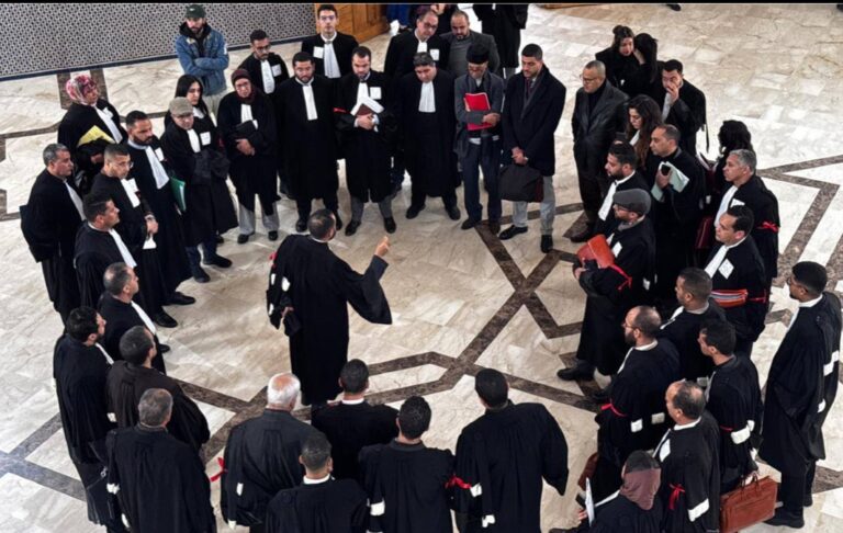 Avocats en robe réunis lors d'une mobilisation au sujet de la réforme de la profession